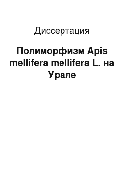 Диссертация: Полиморфизм Apis mellifera mellifera L. на Урале