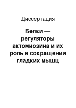 Диссертация: Белки — регуляторы актомиозина и их роль в сокращении гладких мышц