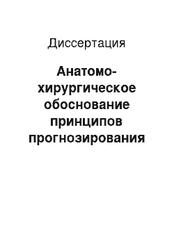 Диссертация: Анатомо-хирургическое обоснование принципов прогнозирования изменений гемодинамики при атеросклеротическом поражении и реконструктивных вмешательствах в зоне бифуркаций общей сонной артерии