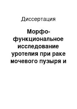 Диссертация: Морфо-функциональное исследование уротелия при раке мочевого пузыря и доброкачественной гиперплазии предстательной железы