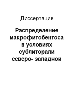 Диссертация: Распределение макрофитобентоса в условиях сублиторали северо-западной части Татарского пролива