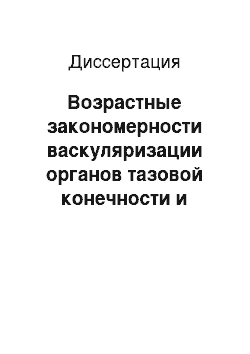 Диссертация: Возрастные закономерности васкуляризации органов тазовой конечности и тазовой полости хоря золотистого