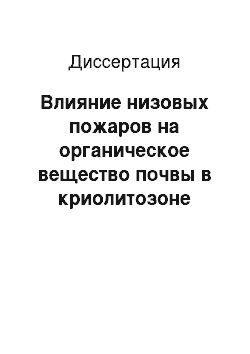 Диссертация: Влияние низовых пожаров на органическое вещество почвы в криолитозоне Центральной Эвенкии