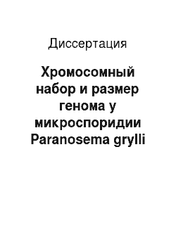 Диссертация: Хромосомный набор и размер генома у микроспоридии Paranosema grylli