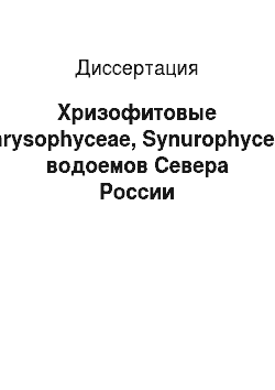 Диссертация: Хризофитовые (Chrysophyceae, Synurophyceae) водоемов Севера России
