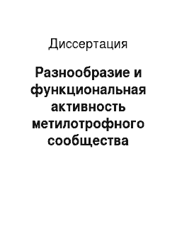 Диссертация: Разнообразие и функциональная активность метилотрофного сообщества гидротерм восточного побережья озера Байкал