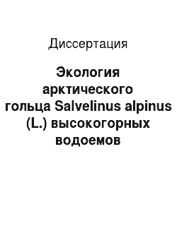 Диссертация: Экология арктического гольца Salvelinus alpinus (L.) высокогорных водоемов Северного Забайкалья