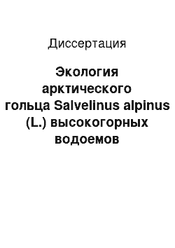 Диссертация: Экология арктического гольца Salvelinus alpinus (L.) высокогорных водоемов Северного Забайкалья