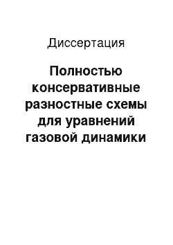 Диссертация: Полностью консервативные разностные схемы для уравнений газовой динамики в эйлеровых переменных