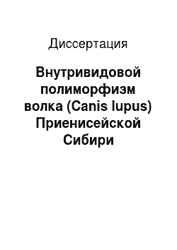 Диссертация: Внутривидовой полиморфизм волка (Canis lupus) Приенисейской Сибири