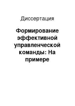 Диссертация: Формирование эффективной управленческой команды: На примере российских коммерческих организаций