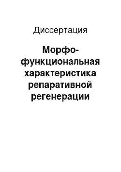 Диссертация: Морфо-функциональная характеристика репаративной регенерации костной ткани у мелких домашних животных