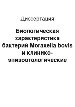 Диссертация: Биологическая характеристика бактерий Moraxella bovis и клинико-эпизоотологические особенности инфекционного кератоконъюнктивита крупного рогатого скота