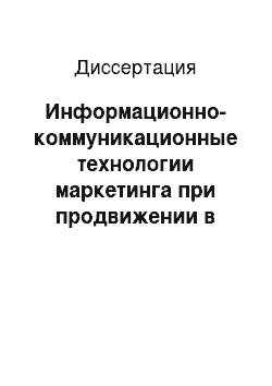 Диссертация: Информационно-коммуникационные технологии маркетинга при продвижении в Интернете услуг в сфере агротуризма