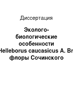 Диссертация: Эколого-биологические особенности Helleborus caucasicus A. Br. флоры Сочинского Причерноморья