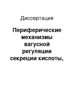 Диссертация: Периферические механизмы вагусной регуляции секреции кислоты, пепсиногена и бикарбонатов в желудке