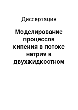 Диссертация: Моделирование процессов кипения в потоке натрия в двухжидкостном канальном приближении в задачах обоснования безопасности ядерных энергетических установок