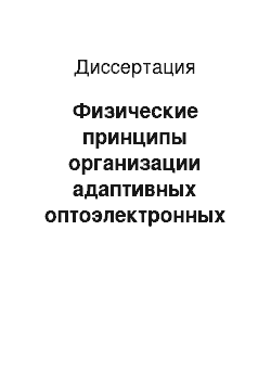 Диссертация: Физические принципы организации адаптивных оптоэлектронных информационно-измерительных систем для реконструкции распределений физических полей в реальном времени