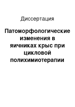 Диссертация: Патоморфологические изменения в яичниках крыс при цикловой полихимиотерапии