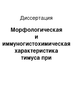 Диссертация: Морфологическая и иммуногистохимическая характеристика тимуса при различных видах хронического стресса на ранних этапах постнатального онтогенеза