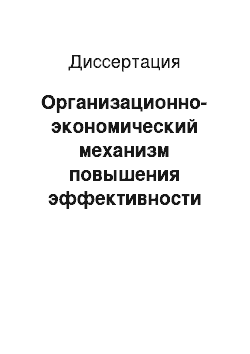 Диссертация: Организационно-экономический механизм повышения эффективности инвестиционной деятельности на предприятиях автомобильной промышленности