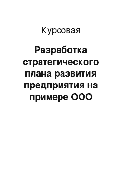 Курсовая: Разработка стратегического плана развития предприятия на примере ООО «Медия-Тур»