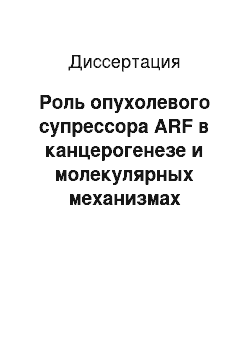 Диссертация: Роль опухолевого супрессора ARF в канцерогенезе и молекулярных механизмах активации аутофагии