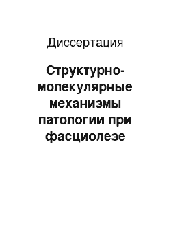 Диссертация: Структурно-молекулярные механизмы патологии при фасциолезе жвачных