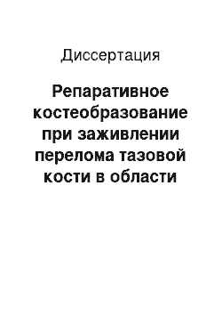 Диссертация: Репаративное костеобразование при заживлении перелома тазовой кости в области суставной (вертлужной) впадины: Экспериментально-морфологическое исследование