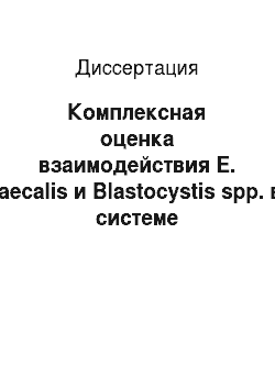 Диссертация: Комплексная оценка взаимодействия E. faecalis и Blastocystis spp. в системе ассоциативного симбиоза кишечника человека