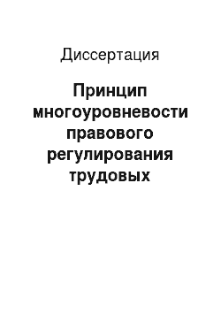 Диссертация: Принцип многоуровневости правового регулирования трудовых отношений в Российской Федерации