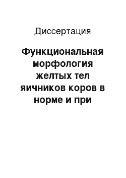 Диссертация: Функциональная морфология желтых тел яичников коров в норме и при патологии