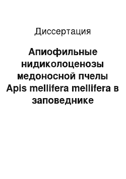 Диссертация: Апиофильные нидиколоценозы медоносной пчелы Apis mellifera mellifera в заповеднике «Шульган-Таш»