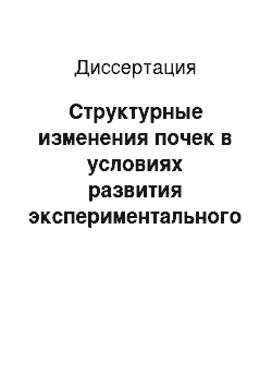 Диссертация: Структурные изменения почек в условиях развития экспериментального оксалатного нефролитиаза