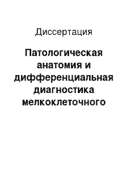 Диссертация: Патологическая анатомия и дифференциальная диагностика мелкоклеточного рака легкого (по материалам бронхобиопсий)