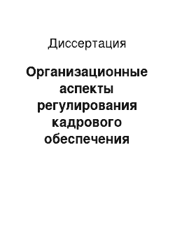 Диссертация: Организационные аспекты регулирования кадрового обеспечения инфраструктуры городских агломераций