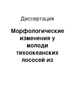 Диссертация: Морфологические изменения у молоди тихоокеанских лососей из естественных водоемов и на рыбоводных заводах Камчатки