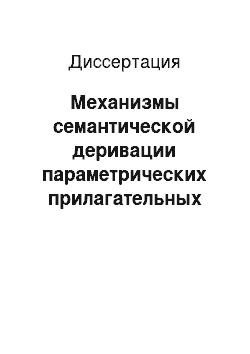 Диссертация: Механизмы семантической деривации параметрических прилагательных