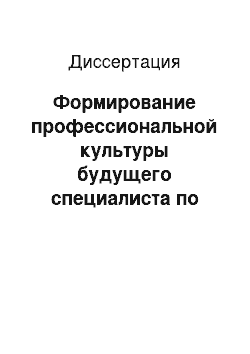 Диссертация: Формирование профессиональной культуры будущего специалиста по работе с молодёжью в процессе обучения в вузе