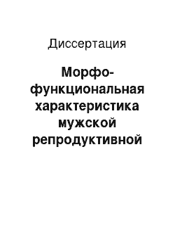 Диссертация: Морфо-функциональная характеристика мужской репродуктивной системы при острой и хронической алкогольной интоксикации