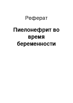 Реферат: Пиелонефрит во время беременности