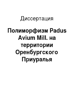 Диссертация: Полиморфизм Padus Avium Mill. на территории Оренбургского Приуралья