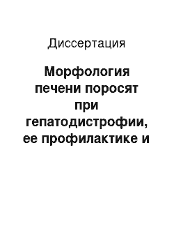 Диссертация: Морфология печени поросят при гепатодистрофии, ее профилактике и терапии препаратами пантотеновой кислоты и карнитином