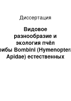 Диссертация: Видовое разнообразие и экология пчёл трибы Bombini (Hymenoptera, Apidae) естественных и урбанизированных экосистем Кузнецко-Салаирской горной области