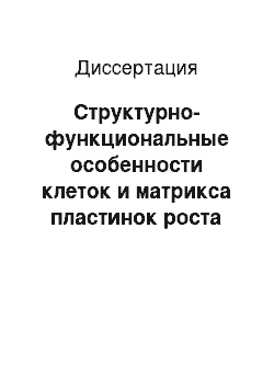 Диссертация: Структурно-функциональные особенности клеток и матрикса пластинок роста тел позвонков человека в норме и при идиопатическом сколиозе