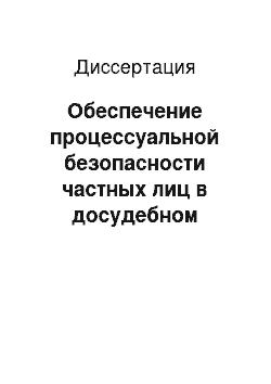 Диссертация: Обеспечение процессуальной безопасности частных лиц в досудебном уголовном производстве