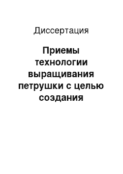 Диссертация: Приемы технологии выращивания петрушки с целью создания конвейера продукции в условиях Ленинградской области