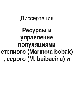 Диссертация: Ресурсы и управление популяциями степного (Marmota bobak) , серого (M. baibacina) и монгольского (M. sibirica) сурков