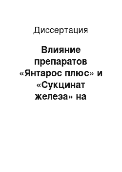 Диссертация: Влияние препаратов «Янтарос плюс» и «Сукцинат железа» на обменные процессы и продуктивные показатели лисиц