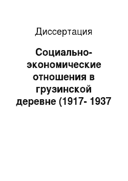 Диссертация: Социально-экономические отношения в грузинской деревне (1917-1937 гг.)